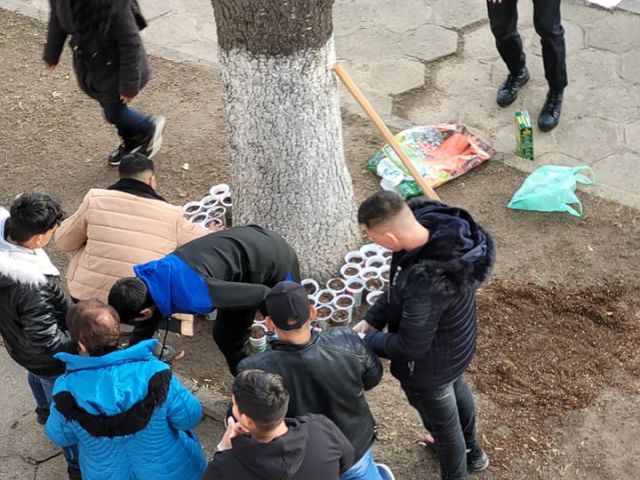 Искаме да произведем фиданки за нашия град Сливен