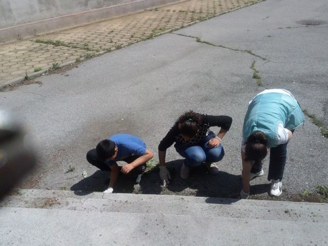 Пролетно почистване на Природен парк „Сините камъни“ [08.05.2015]