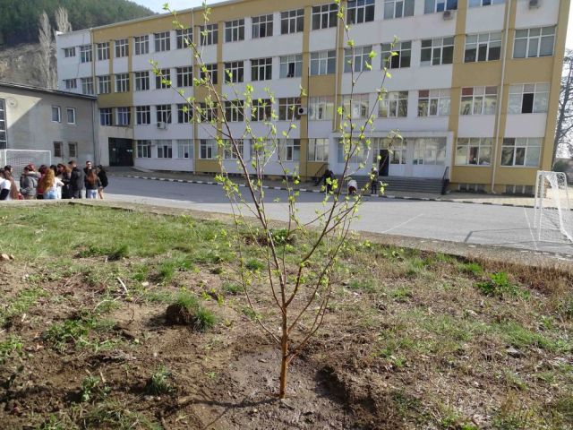 Празничната седмица
