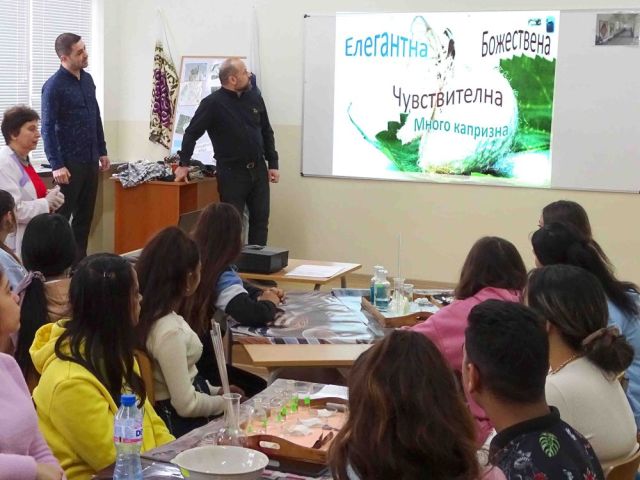 Елегантна, божествена, чувствителна,  много капризна