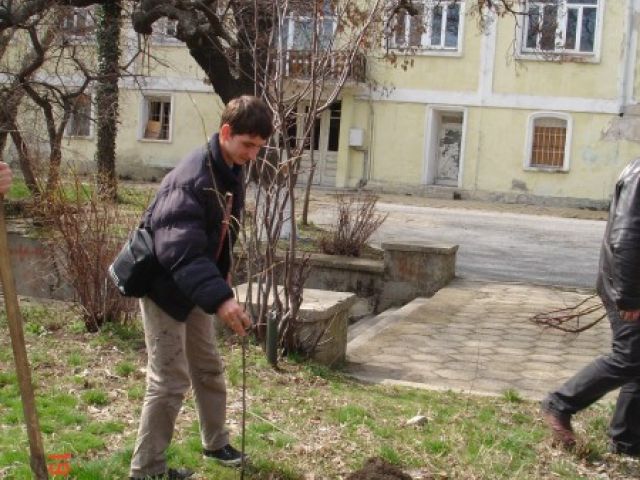 Озеленяване на училището