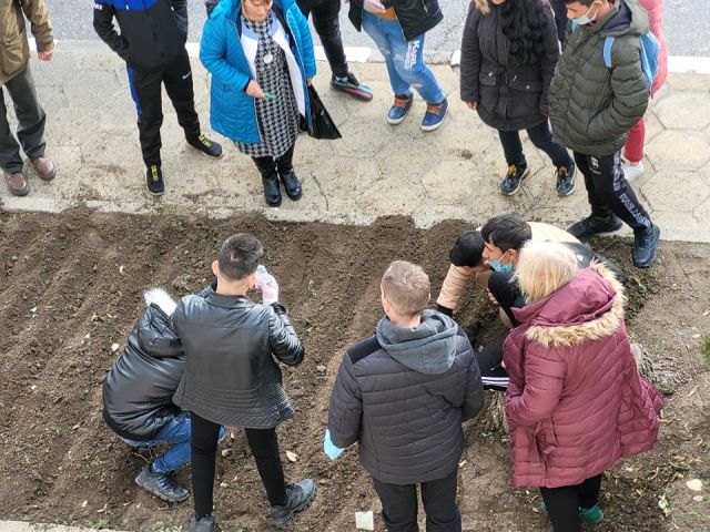 Искаме да произведем фиданки за нашия град Сливен